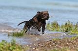 STAFFIE 149